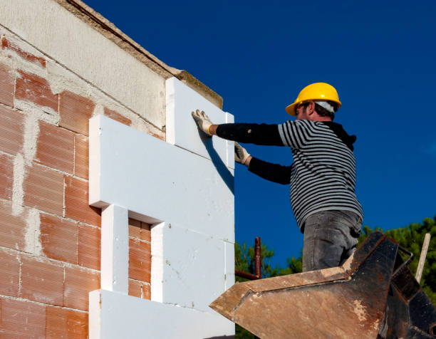 Best Home Insulation Services  in Pickerington, OH