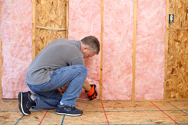 Best Insulation Repair Services  in Pickerington, OH