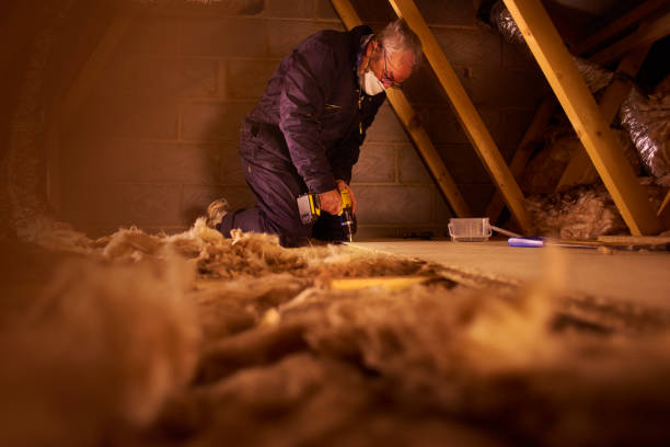 Best Professional Insulation Contractor  in Pickerington, OH